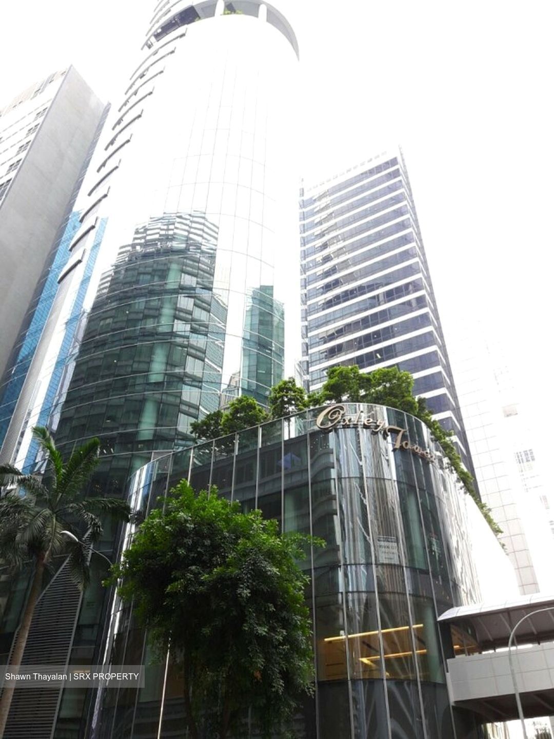 Oxley Tower (D1), Office #452482991